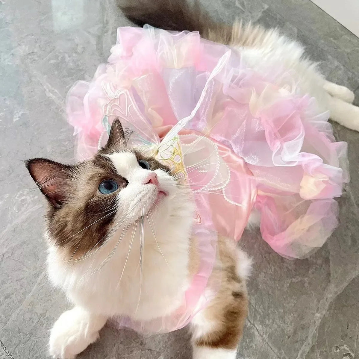 Dog Cat Spring Princess Dress Lace Skirt Pet Clothing Stripe Skirt Puppy Princess Apparel Cute Puppy Clothes Pet Cat Clothes