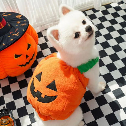 Halloween Pumpkin Lantern Dog Clothes Transformation Costume Cosplay Funny Cat Teddy Dog Special Events Apparel Comical Outfits