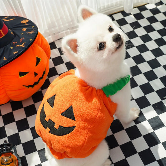 Halloween Pumpkin Lantern Dog Clothes Transformation Costume Cosplay Funny Cat Teddy Dog Special Events Apparel Comical Outfits